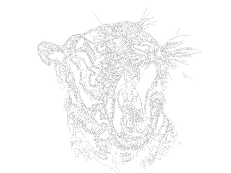 Картина по номерам «Перед сном» — картинка 3