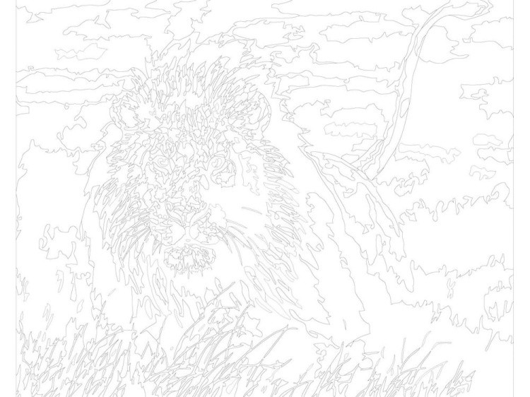 Картина по номерам «Охотник» — картинка 3