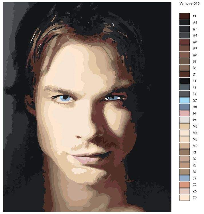 Картина по номерам «Дневники вампира: Деймон Сальваторе - Йен Сомерхолдер 3» — картинка 2