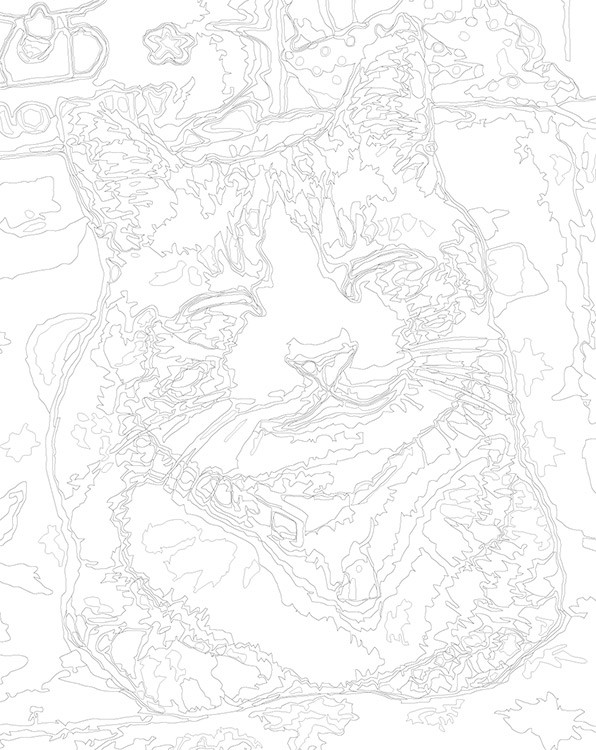 Картина по номерам «Мем, коты из мемов: Милый котик 40x50» — картинка 3