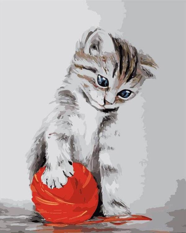 Картина по номерам «Котенок с красным клубком»