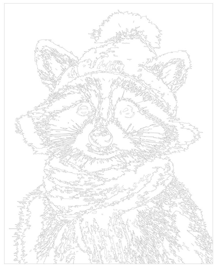 Картина по номерам Милый енот в шапке и шарфе — картинка 3