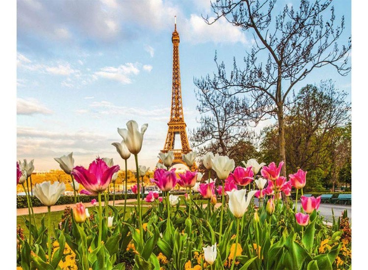 Картина по номерам «Парижский пейзаж» — картинка 2