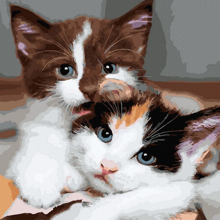 Картина по номерам «Пушистые котята»