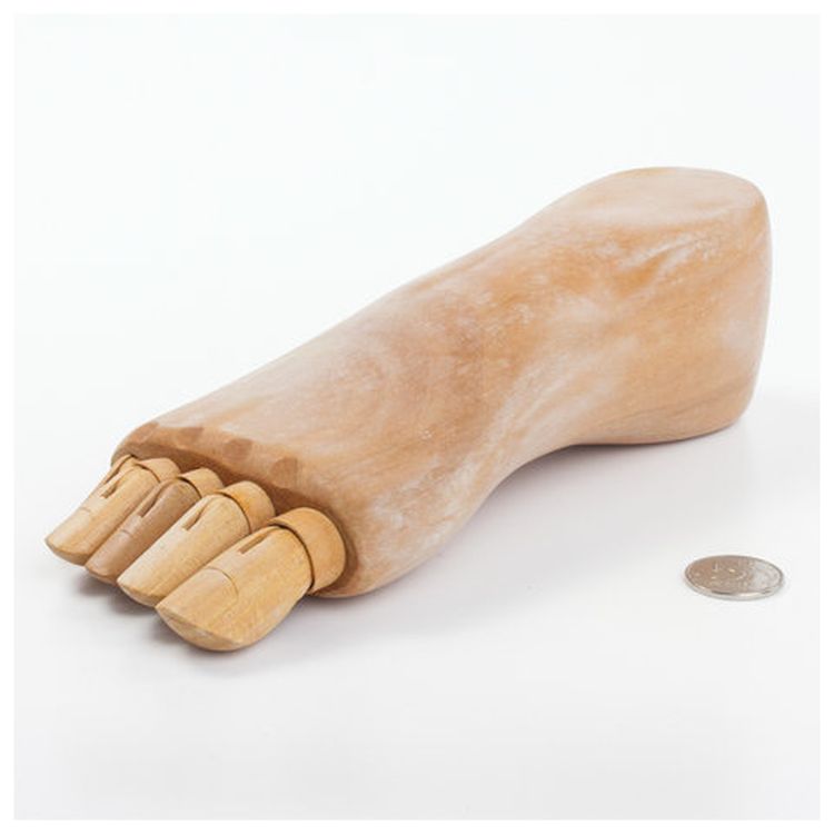 Манекен художественный «Стопа», длина 25 см., мужская правая, дерево, BRAUBERG ART CLASSIC — картинка 4