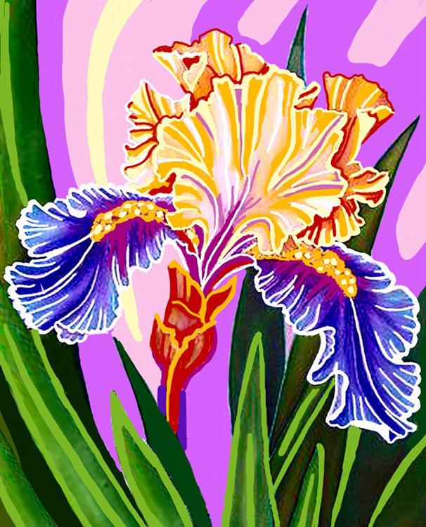 Алмазная вышивка «Прекрасный ирис» — картинка 2