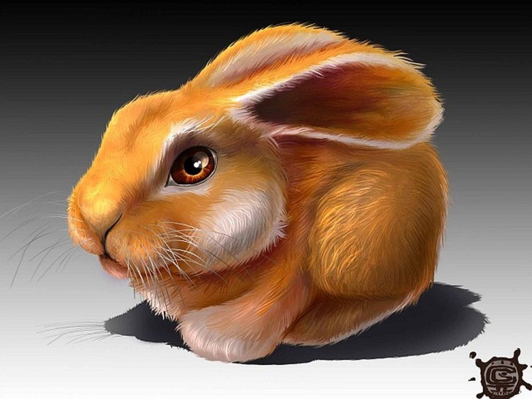 Фигурка для раскрашивания «Заяц» — картинка 3