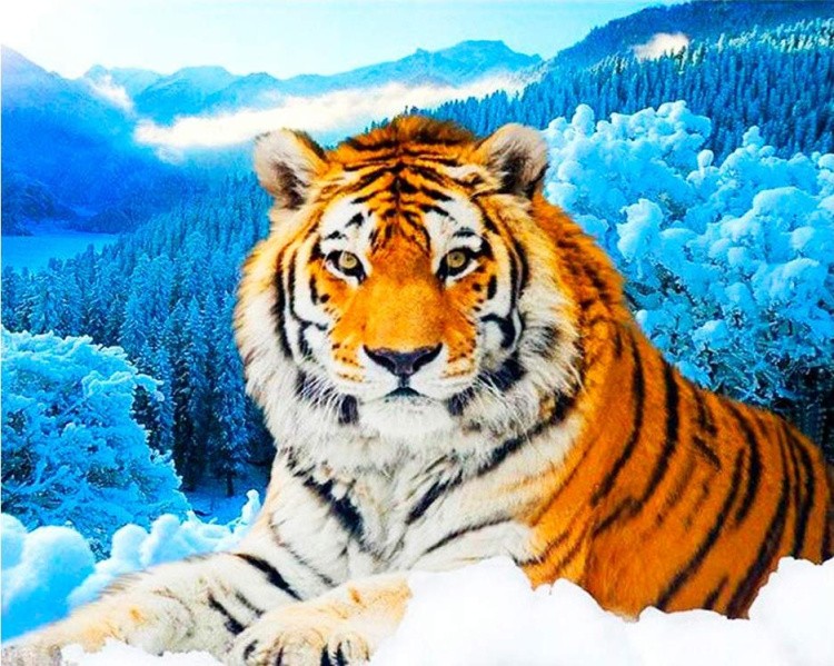 Алмазная вышивка «Тигр на фоне зимнего леса»