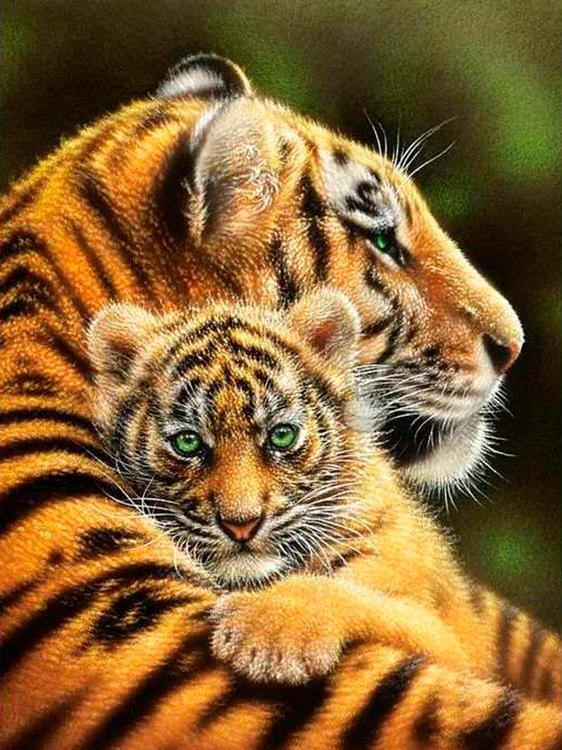 Алмазная вышивка «Тигрица с тигренком»