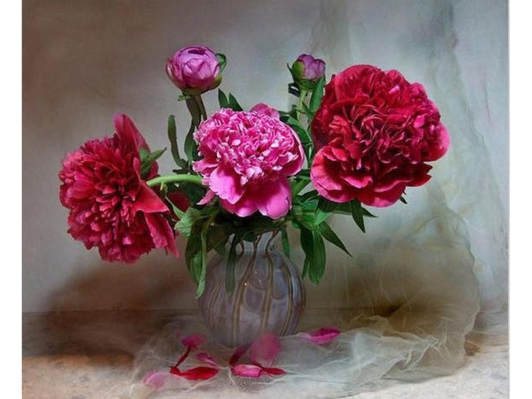 Картина по номерам «Цветы в тени» — картинка 2