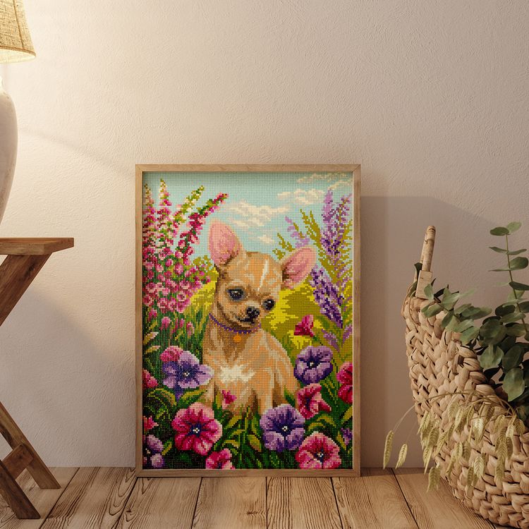 Алмазная вышивка «Чихуахуа» — картинка 3