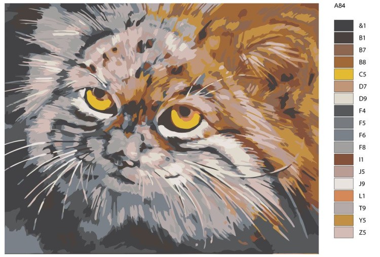 Картина по номерам «Манул» — картинка 2