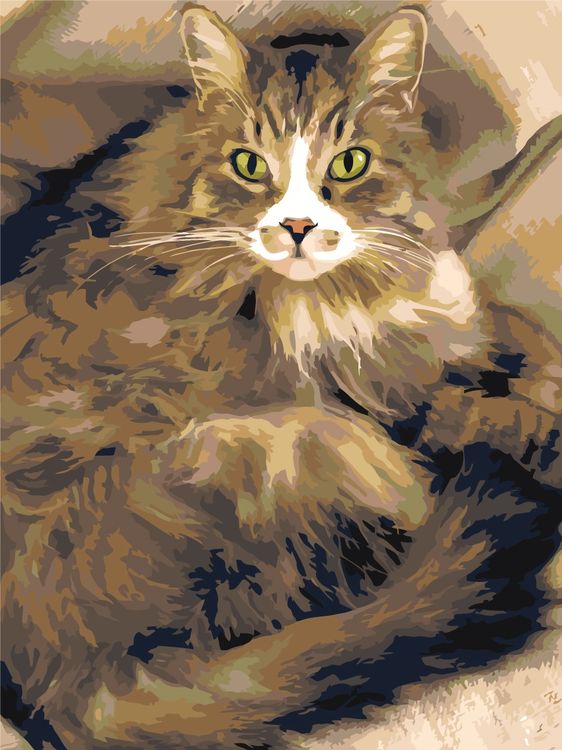 Картина по номерам «Пушистая кошка»