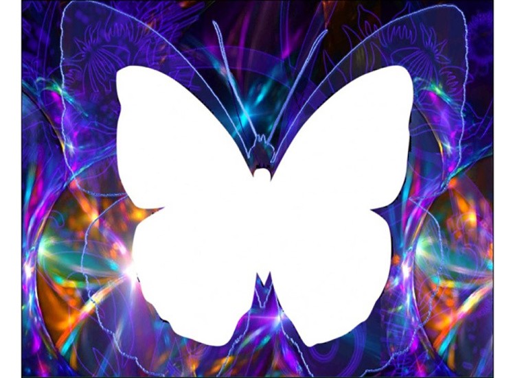 Алмазная вышивка «Бабочка» — картинка 2