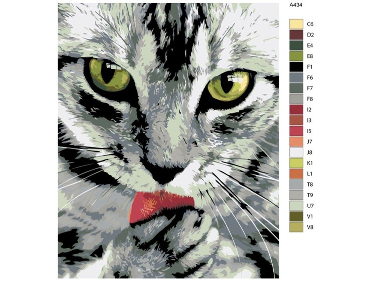 Картина по номерам «Чистоплотный кот» — картинка 2