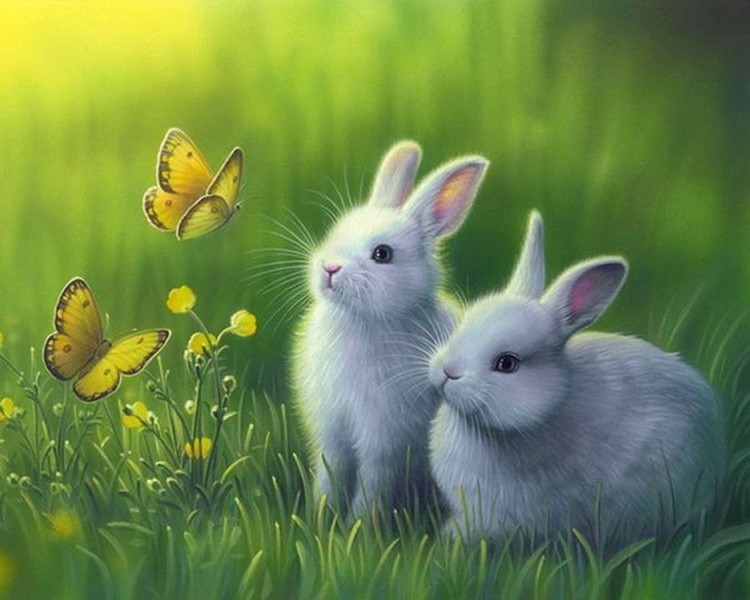 Картина по номерам «Кролики в траве»