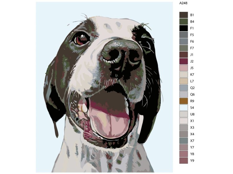 Картина по номерам «Сэм» — картинка 2
