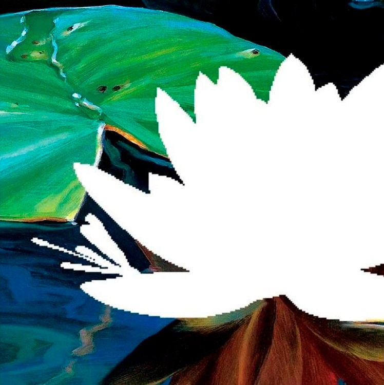 Алмазная вышивка «Цветок лотоса» — картинка 3