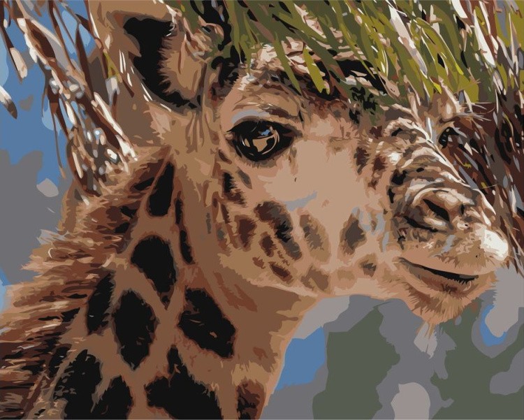 Картина по номерам «Жираф» Z-AB370 Живопись по Номерам 40x50 - купить  недорого в Москве по цене производителя, отзывы, фото в интернет магазине  Цветное