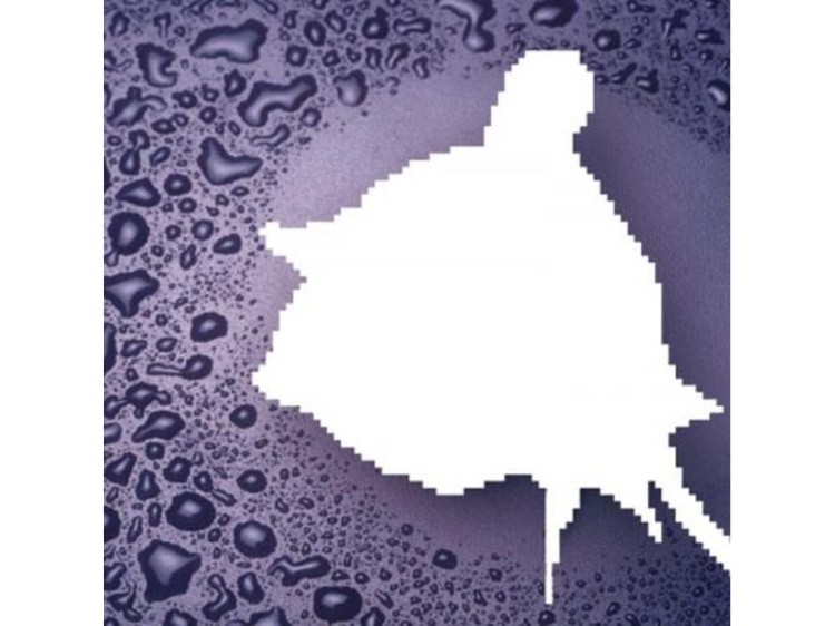 Алмазная вышивка «Розовая роза» — картинка 2