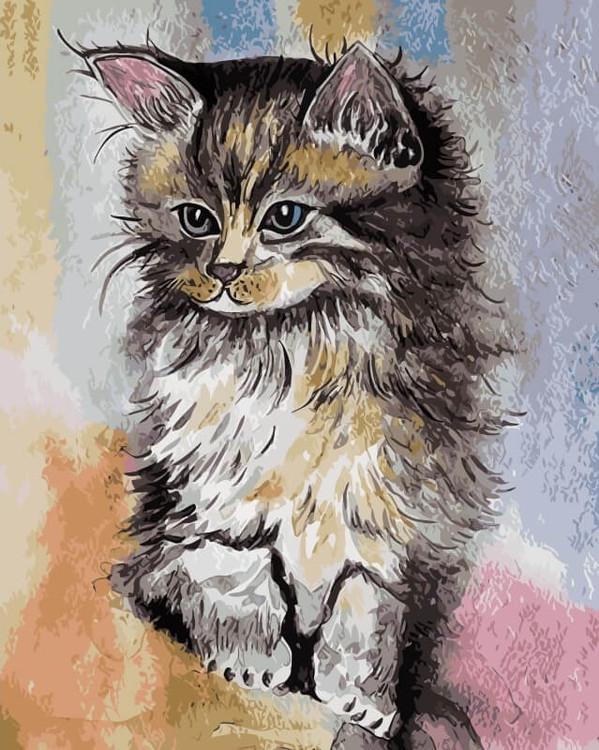 Картина по номерам «Котенок»