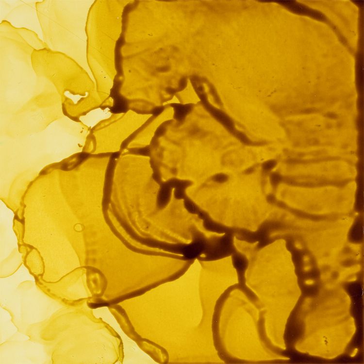 Спиртовые чернила (11 лайм), 20 мл, Love2art — картинка 2