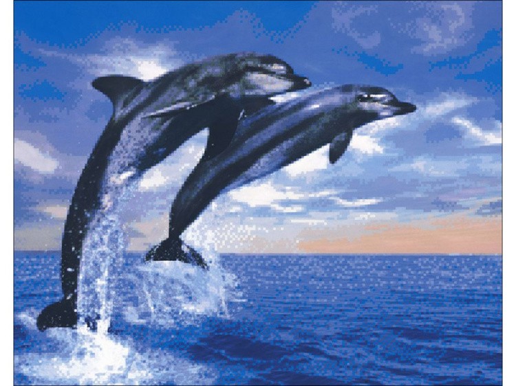Алмазная вышивка «Дельфины» — картинка 2