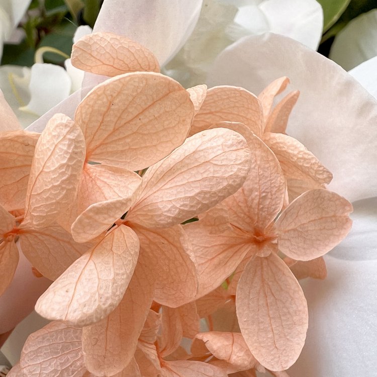 Стабилизированные цветы Гортензии (оранжевые) — картинка 3