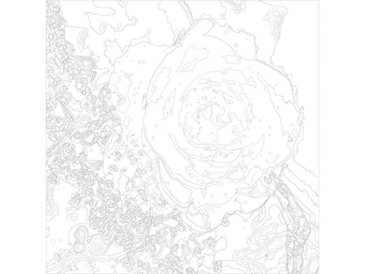 Картина по номерам «Роза» — картинка 3