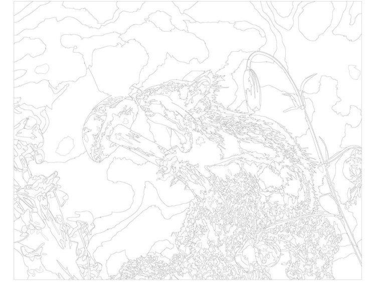 Картина по номерам «Белка с грибом» — картинка 3