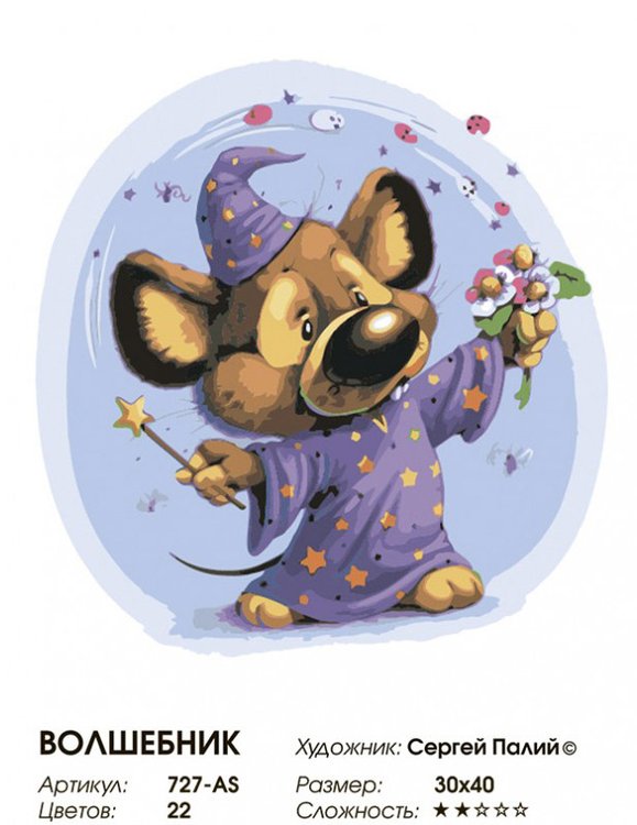 Картина по номерам «Волшебник» — картинка 2