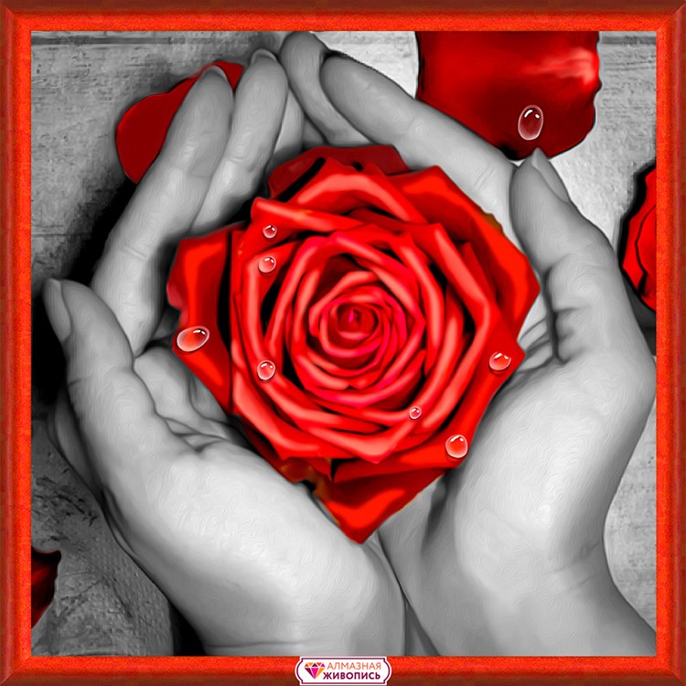 Алмазная вышивка «Роза в ладонях» — картинка 2
