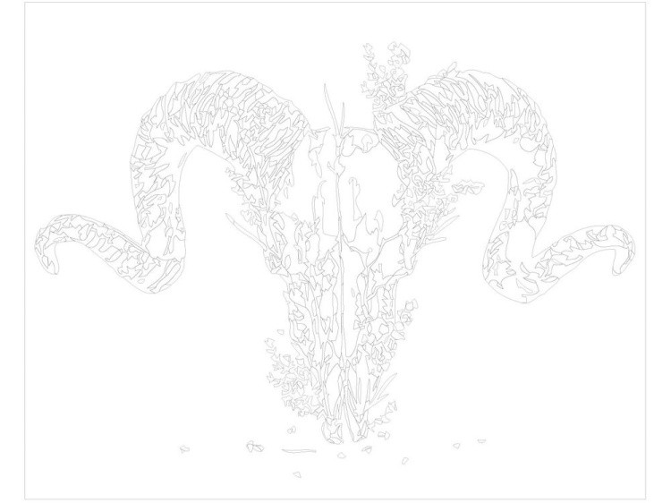 Картина по номерам «Череп» — картинка 3