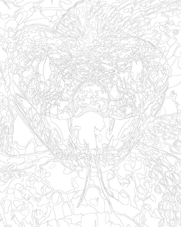 Картина по номерам «Агрессивная змея, Символ года, животные» — картинка 3