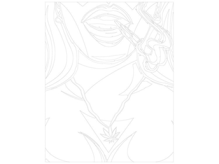 Картина по номерам «Legalize it» — картинка 3