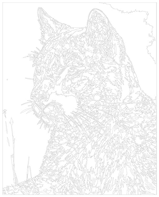 Картина по номерам «Пума» — картинка 3