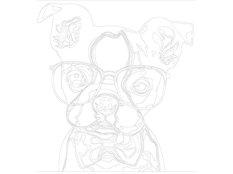 Картина по номерам «Внимательный взгляд» — картинка 3