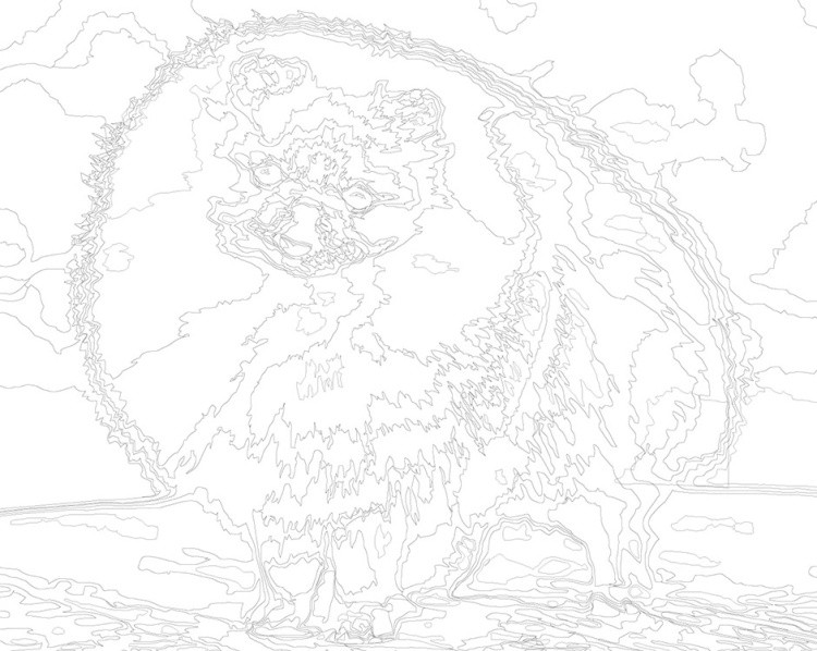 Картина по номерам «Собаки: Шпиц пушистый щенок 40х50» — картинка 3