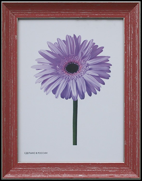 Рамка для картин «Jasmin» 10х15 см — картинка 4