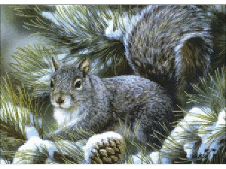 Алмазная вышивка «Бельчонок» — картинка 2