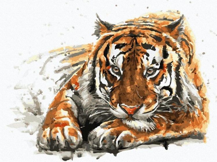 Картина по номерам «Амурский тигр»