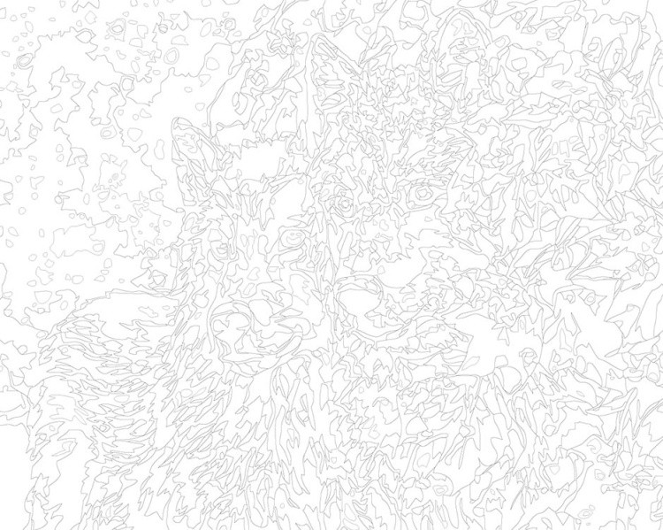 Картина по номерам «Пара волков» — картинка 3